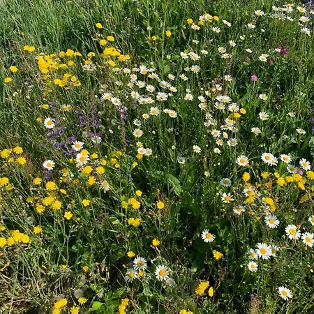 Casa Turchina Vernante