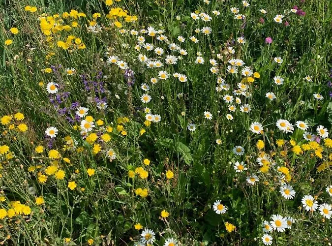 Casa Turchina ורנאנטה